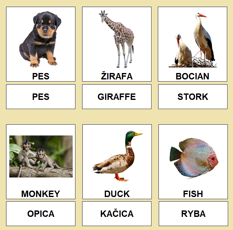 ANIMALS - pdf | Čo dokáže mama