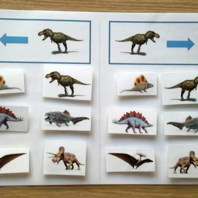 Pravo-ľavá orientácia (Dinosaury)